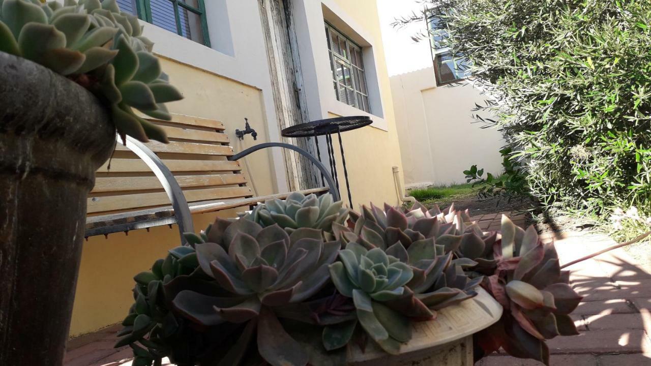Calvinia Guesthouse Bagian luar foto