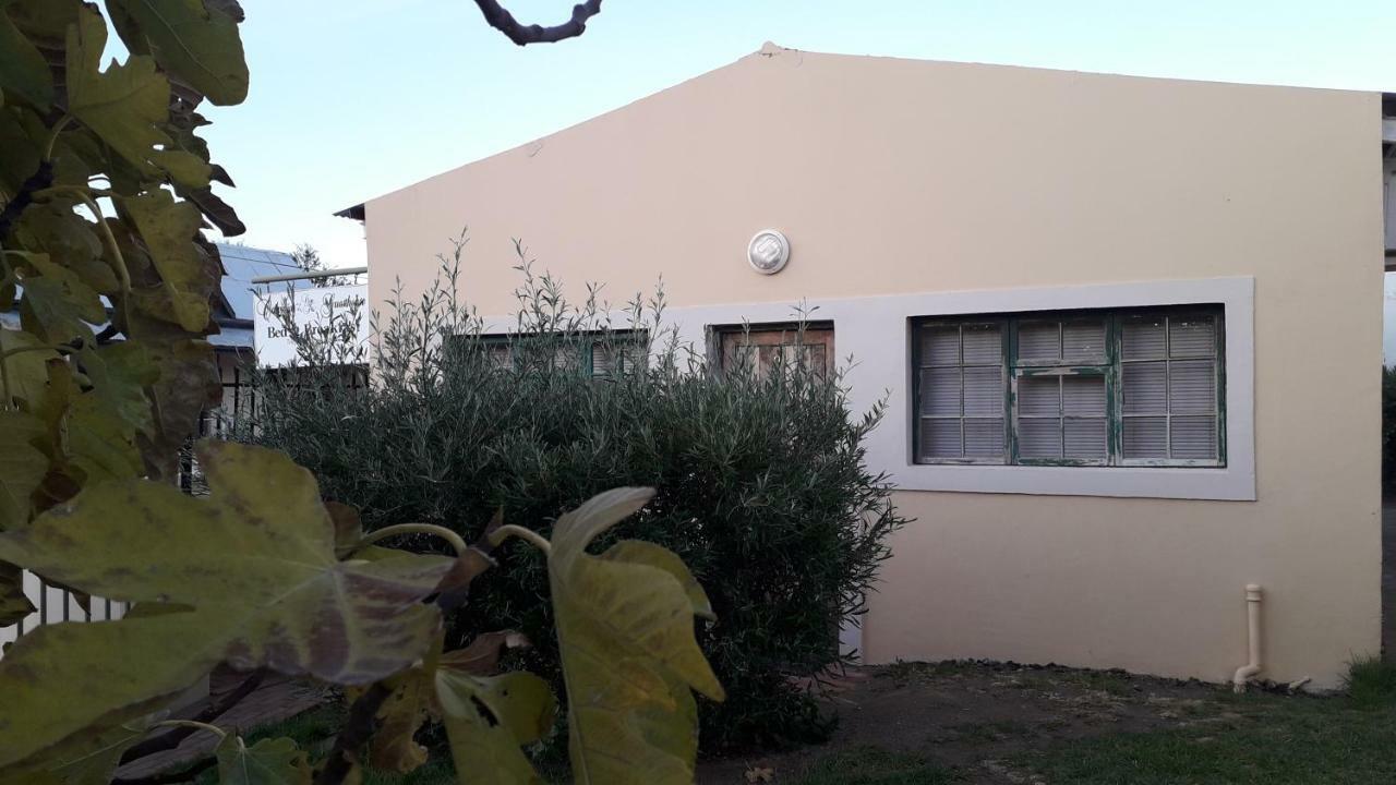 Calvinia Guesthouse Bagian luar foto